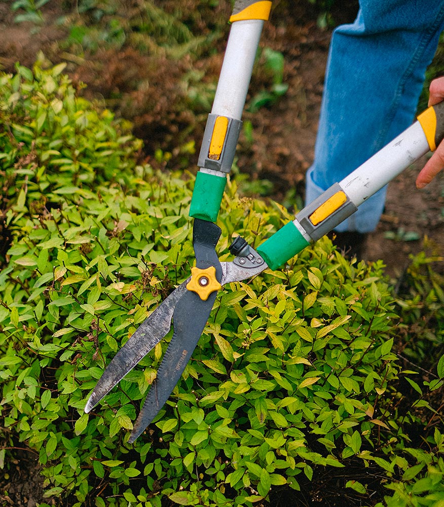 Entretien des espaces verts